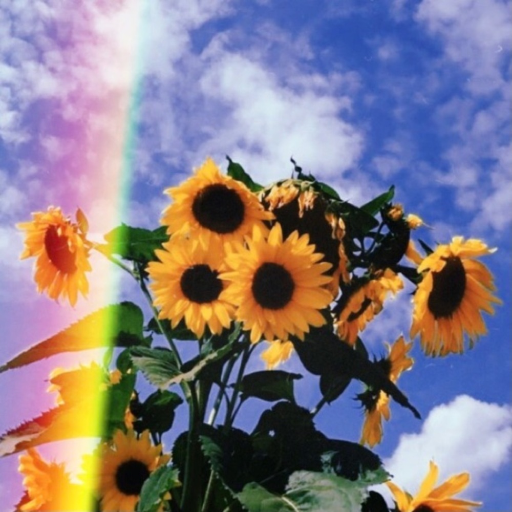 Welcome! ❤️🌈🦋🌼